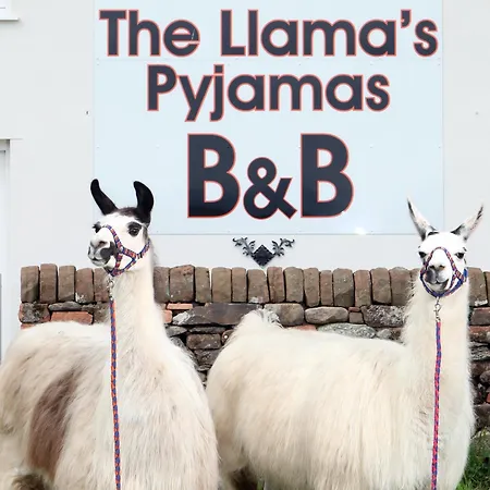 Llamas Pyjamas فندق مبيت وإفطار بنريث