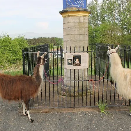 فندق مبيت وإفطار Llamas Pyjamas بنريث
