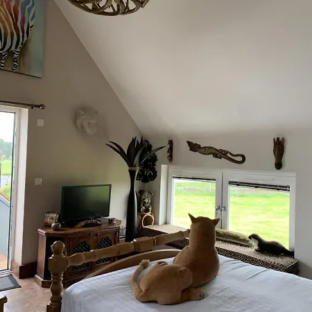 Bed & Breakfast Llamas Pyjamas